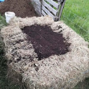 Morpheus 2.0 - Biodynamic, Organic Compost (Fertilizer)